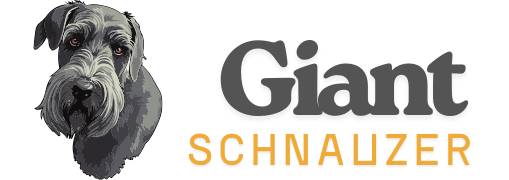 Giant Schnauzer