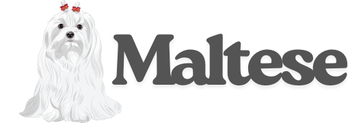 Maltese