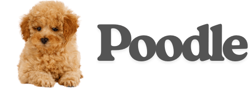 Poodle