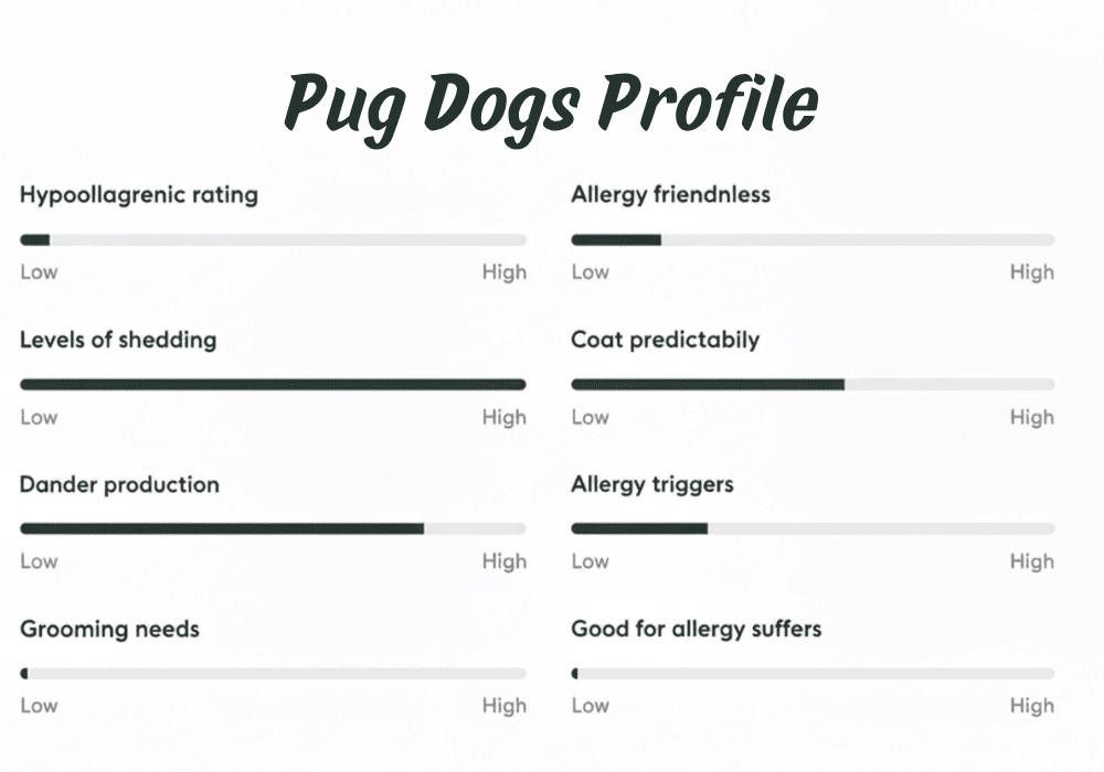 Are Pug Dogs Hypoallergenic