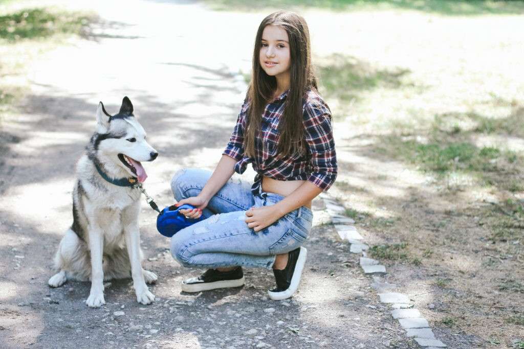 Are Blue Heeler Dogs Hypoallergenic