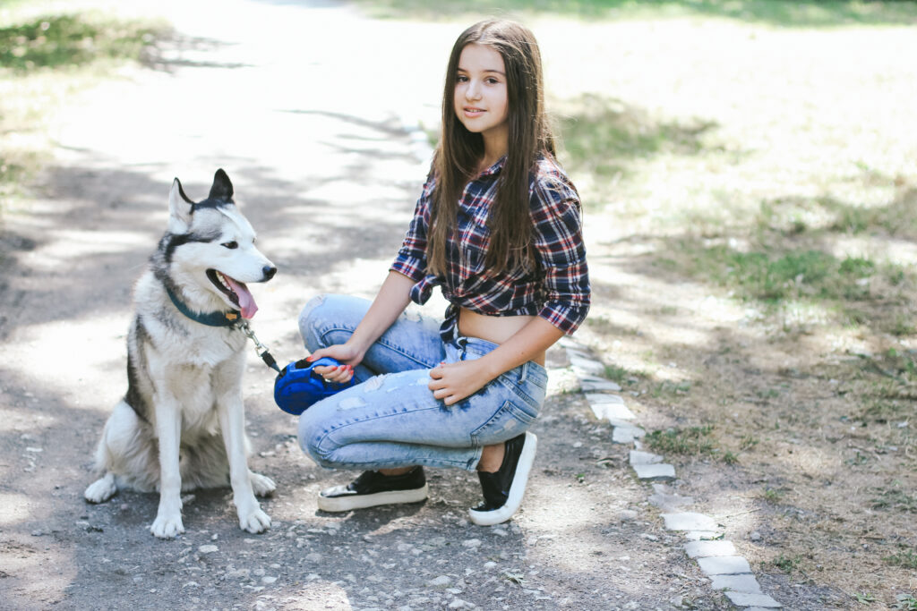 Are Blue Heeler Dogs Hypoallergenic