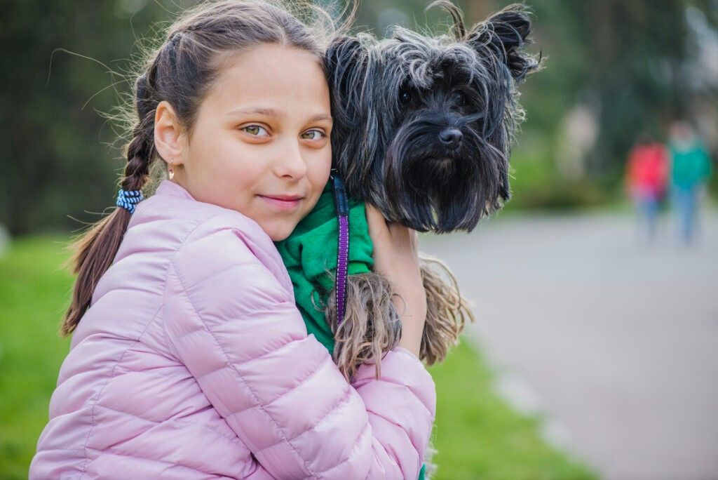 Are Brussel Griffon Dogs Hypoallergenic