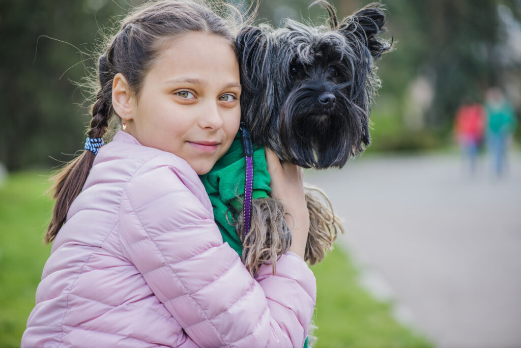 Are Brussel Griffon Dogs Hypoallergenic