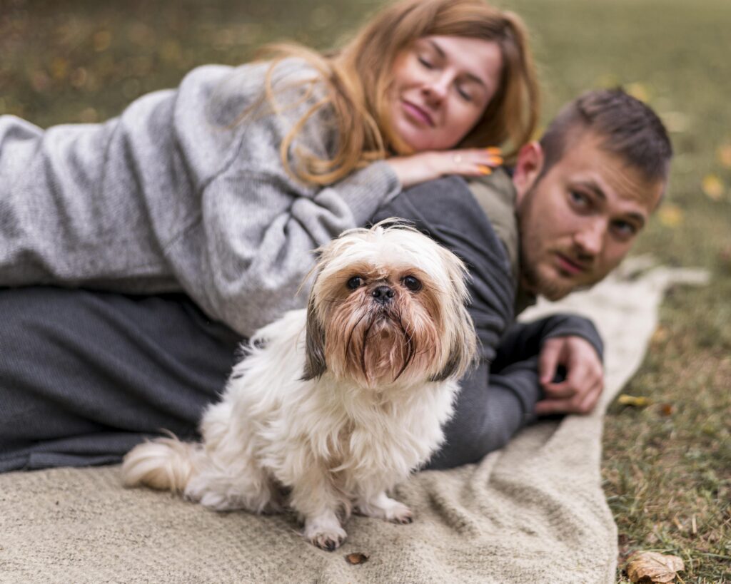 Are Brussel Griffon Dogs Hypoallergenic