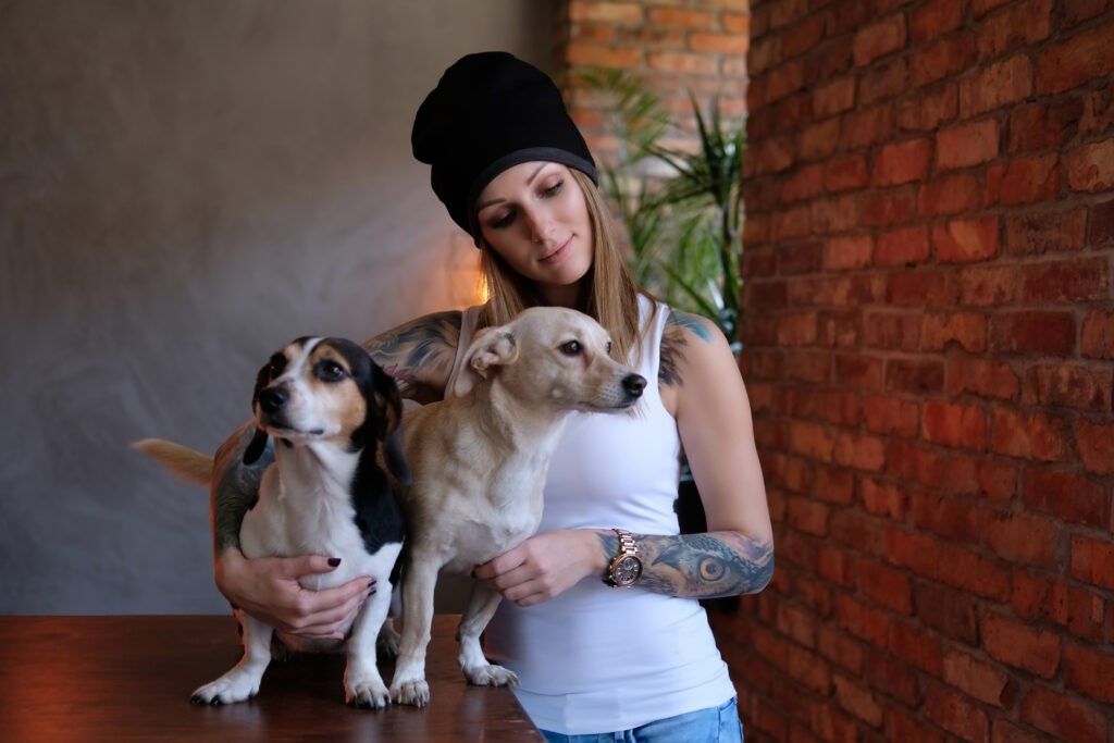 Are Wiener Dogs Hypoallergenic