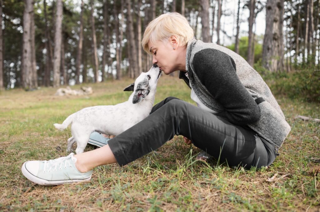 Are Blue Heeler Dogs Hypoallergenic